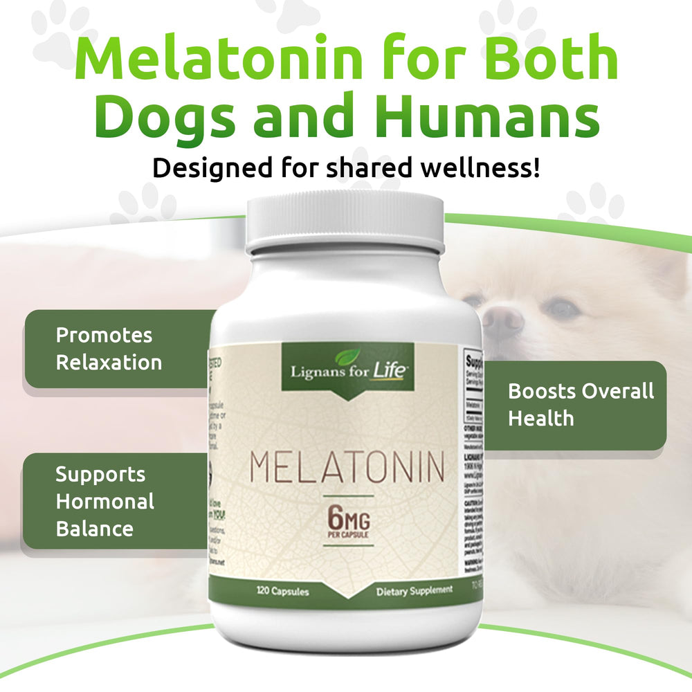 Lignans For Life melatonin bottle on store shelf
