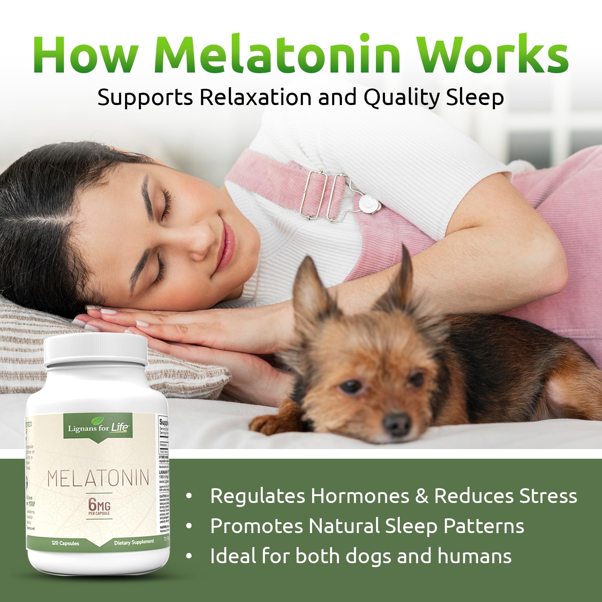 Lignans For Life melatonin for dogs packaging with caregiver scene