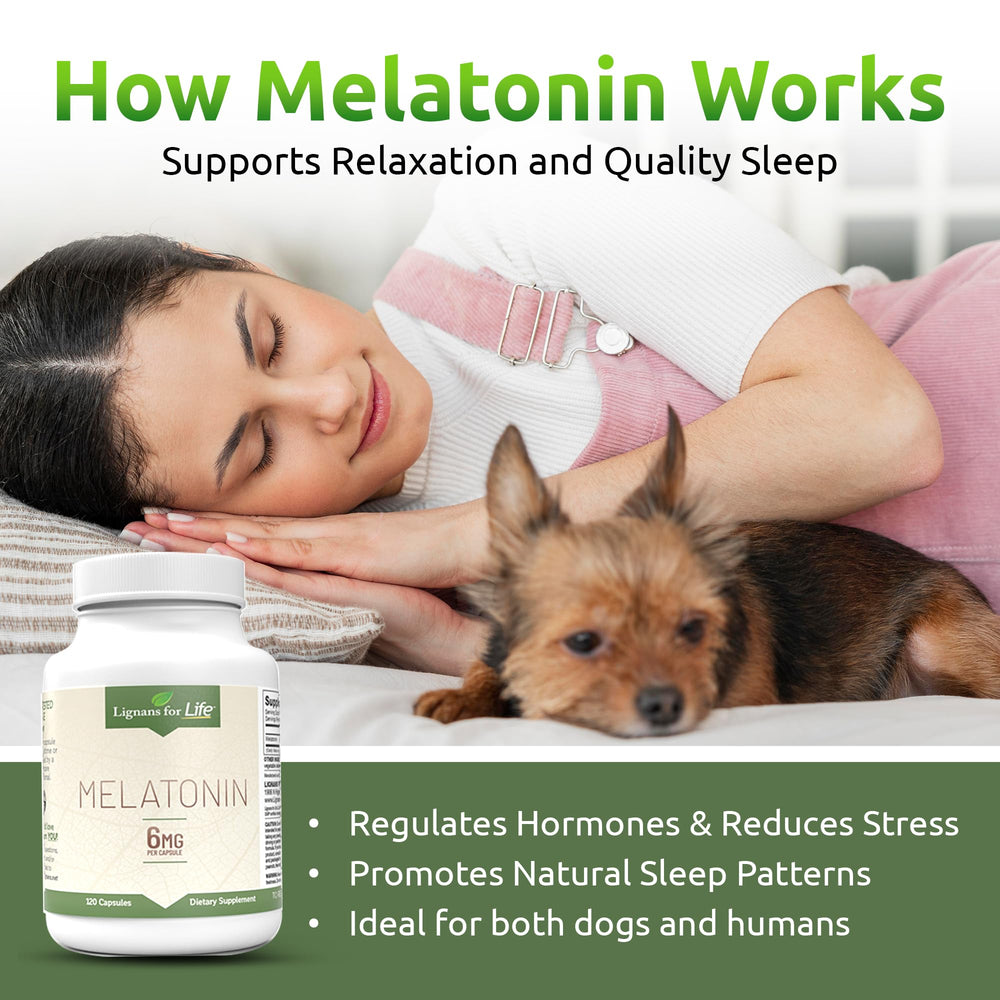 Lignans For Life melatonin for dogs packaging with caregiver scene