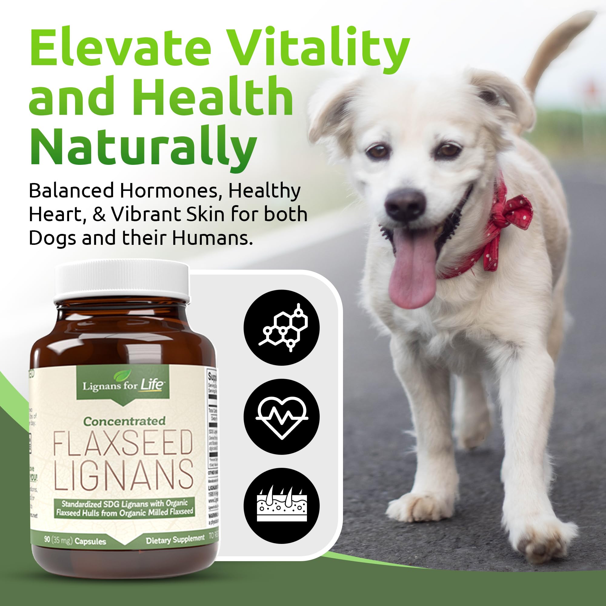 Lignans For Life 35 mg SDG per capsule dosage consistency