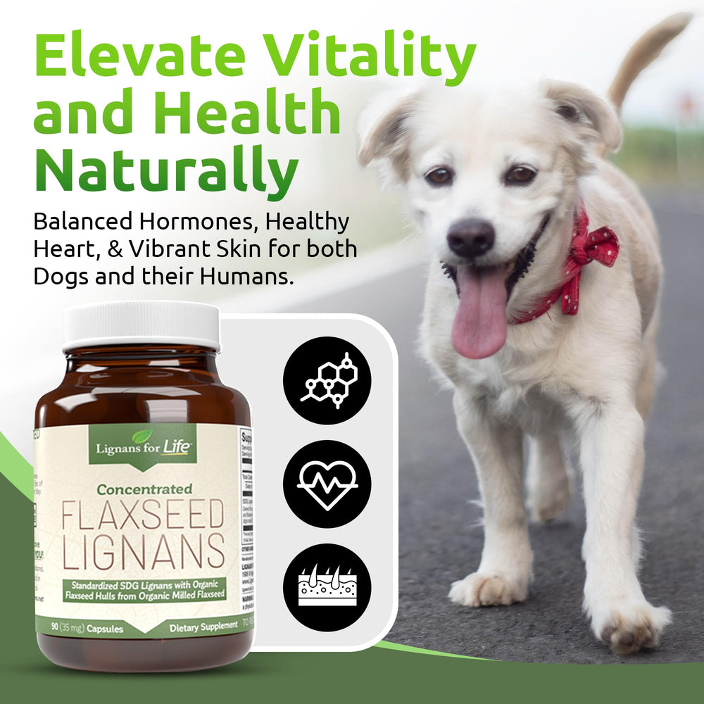 Lignans For Life 35 mg SDG per capsule dosage consistency