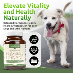 Lignans For Life 35 mg SDG per capsule dosage consistency