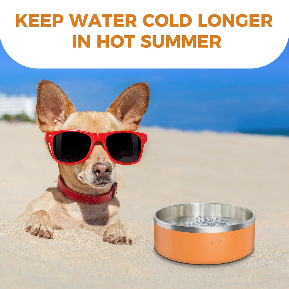LIHONG 64oz orange dining-time setup for large pets and busy households.