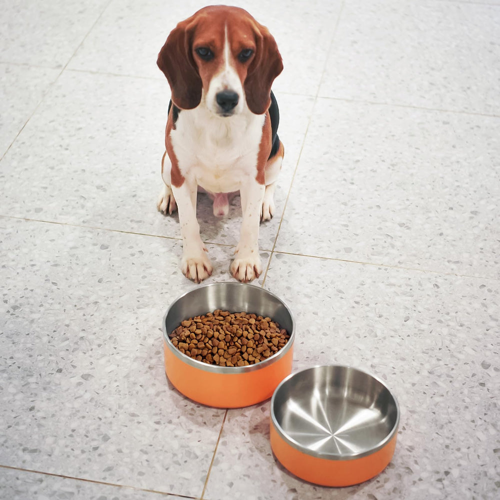 LIHONG 64oz orange bowl ideal for large dogs and multi-pet homes.