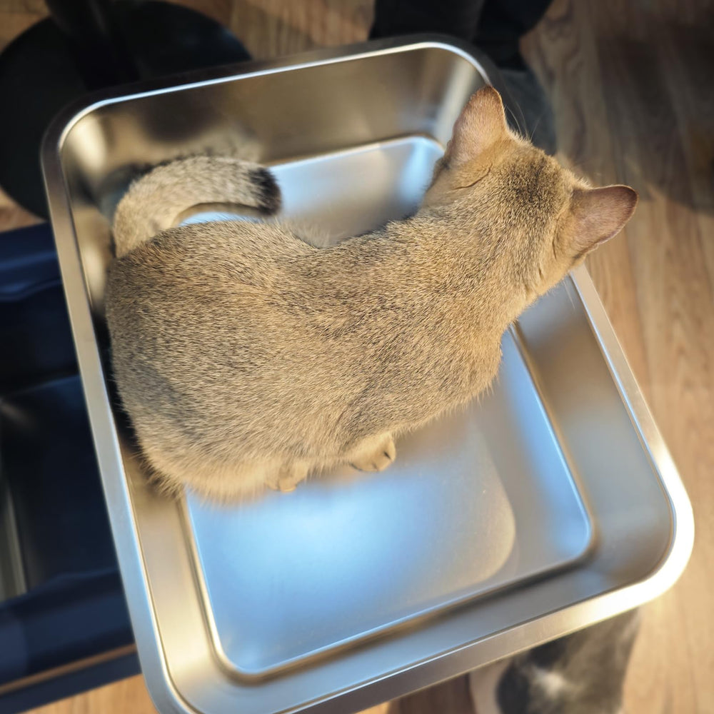 LIHONG full-box view shows ample space for small pets