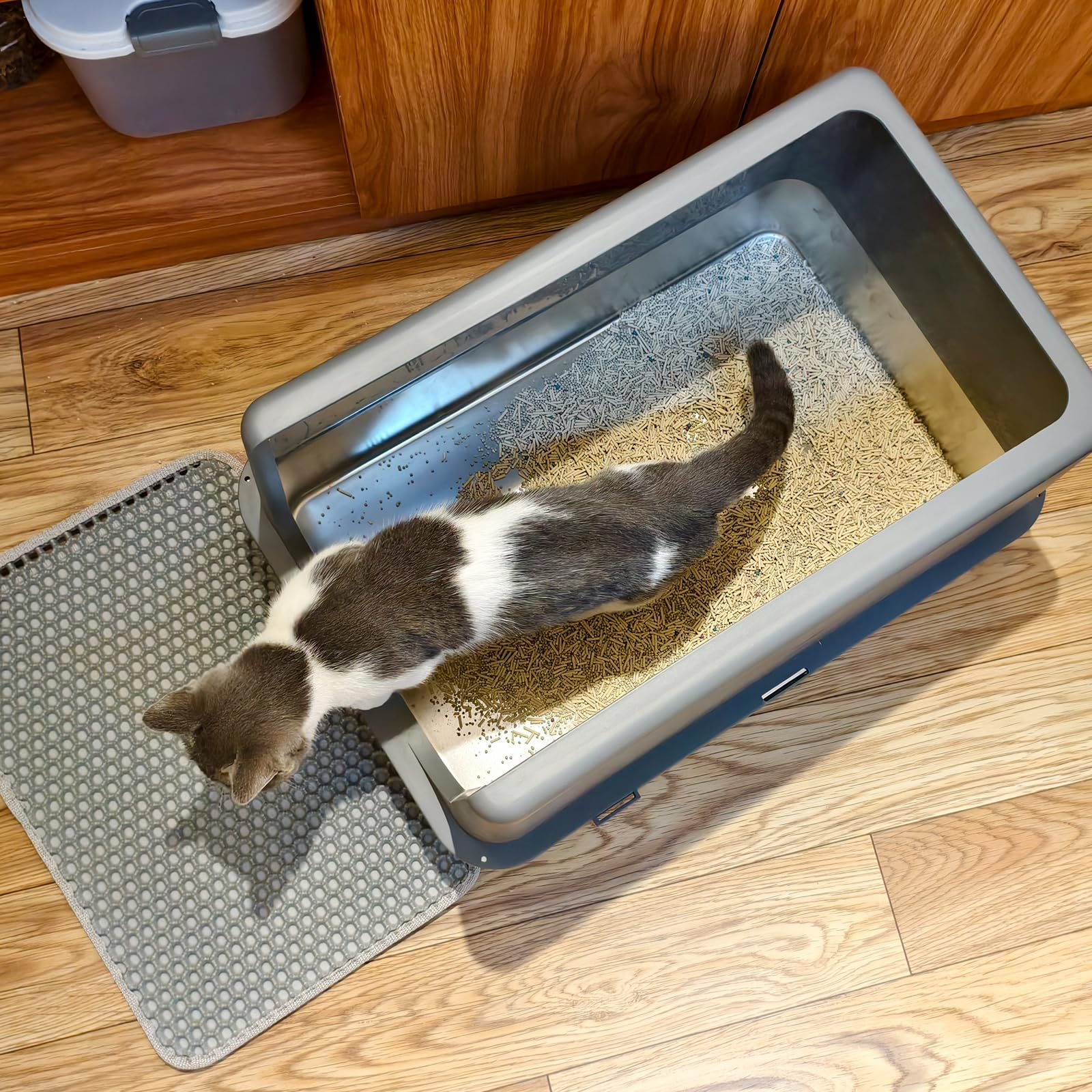 LIHONG stainless steel litter box anti-slip bottom on the floor