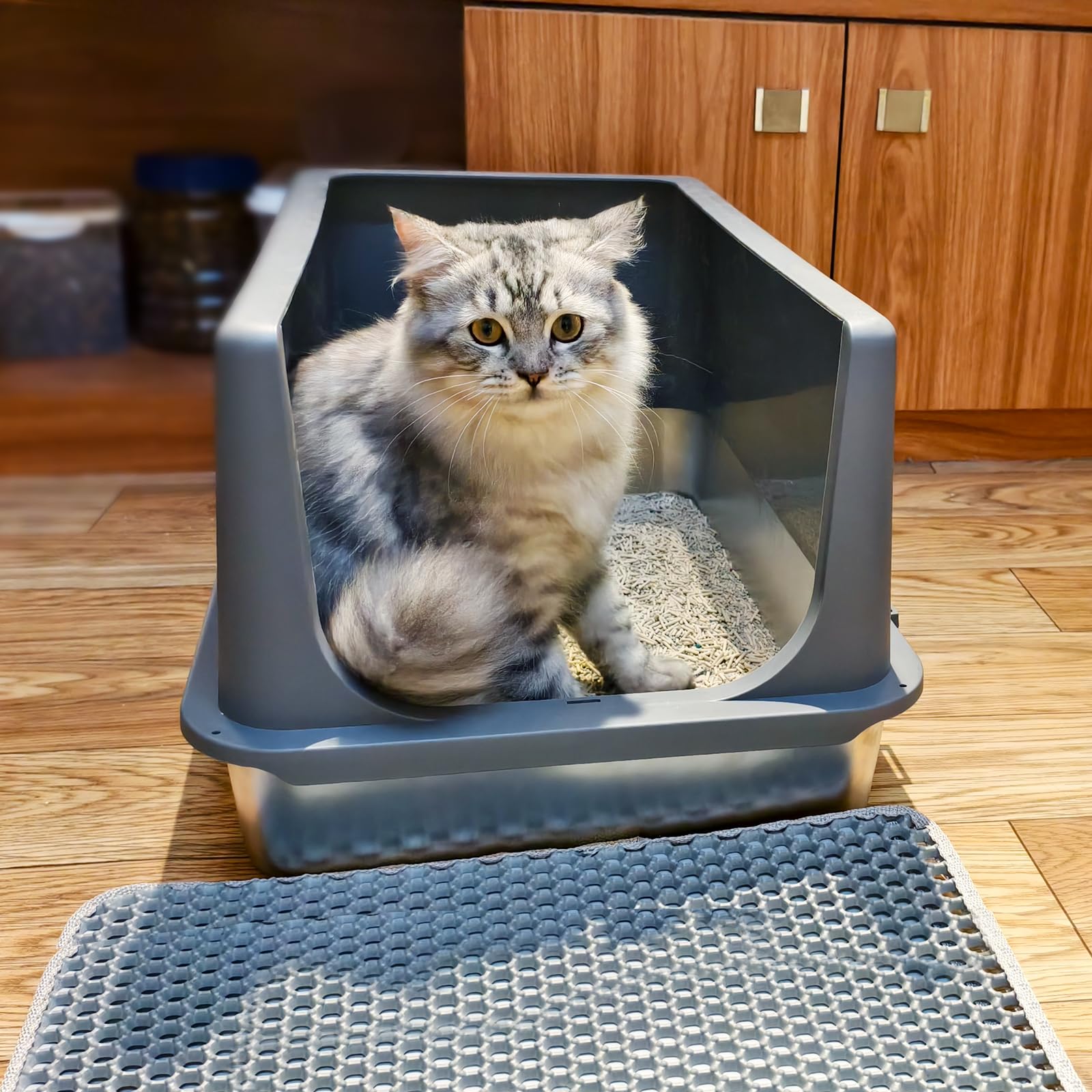 LIHONG stainless steel litter box for multiple cats spacious for two large cats