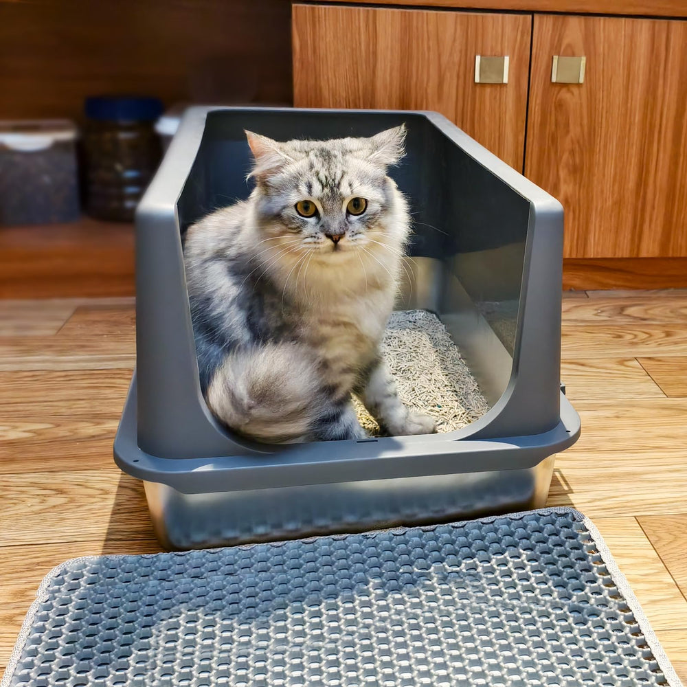 LIHONG stainless steel litter box for multiple cats spacious for two large cats