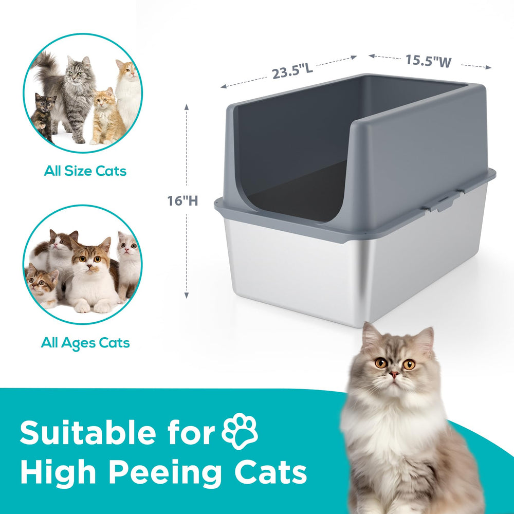 LIHONG two-cat setup showing ample space for big cats.