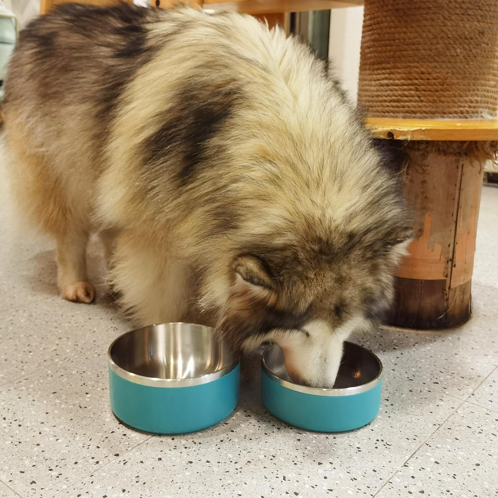 LIHOOOOM two sizes available for different breeds and pets.