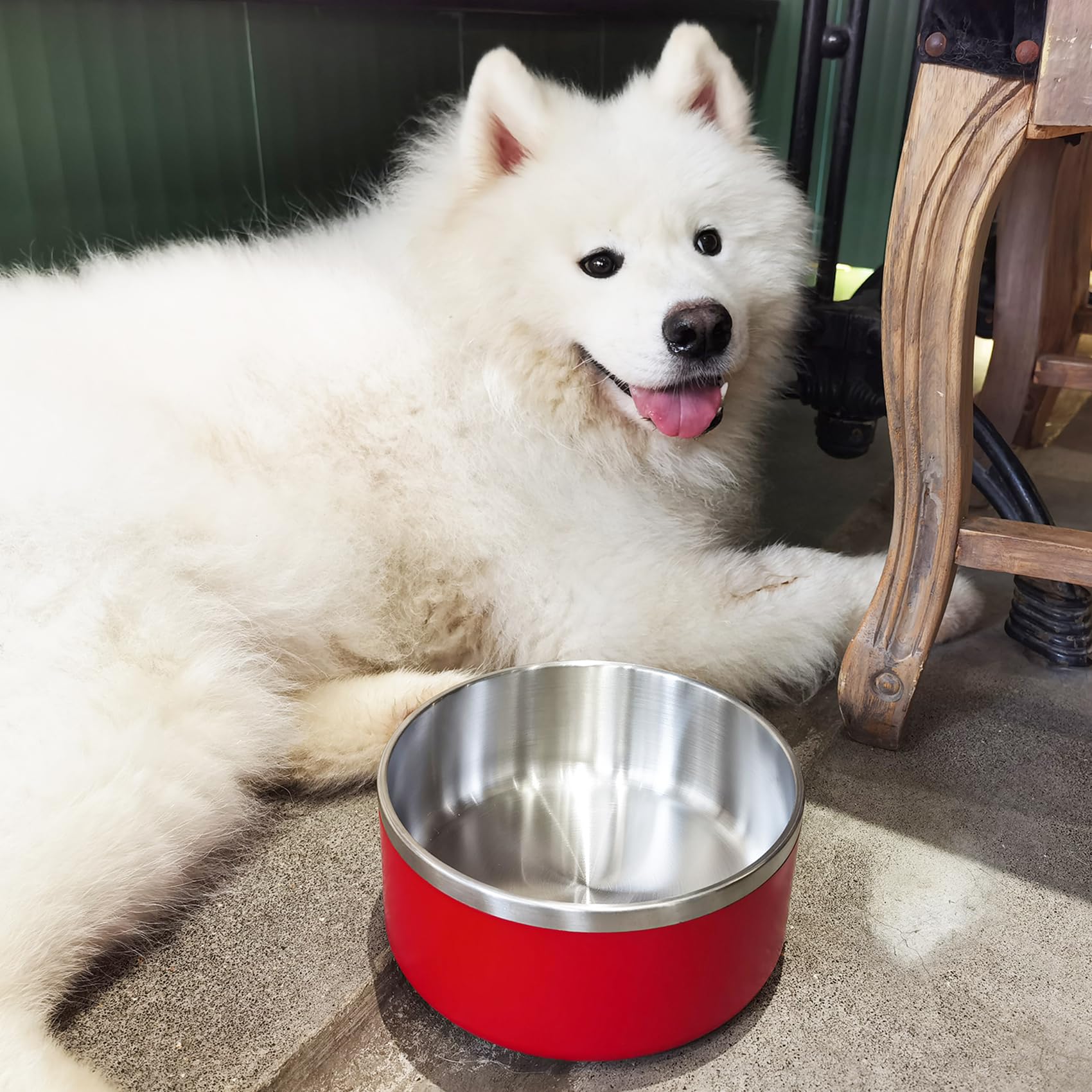 LIHOOOOM bowl dimensions 8.26 inches for versatile feeding setups.