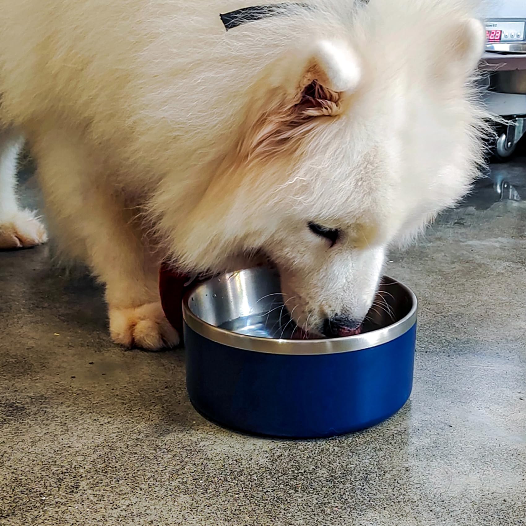 LIHOOOOM easy-clean design helps maintain a fresh, odor-free feeding space.