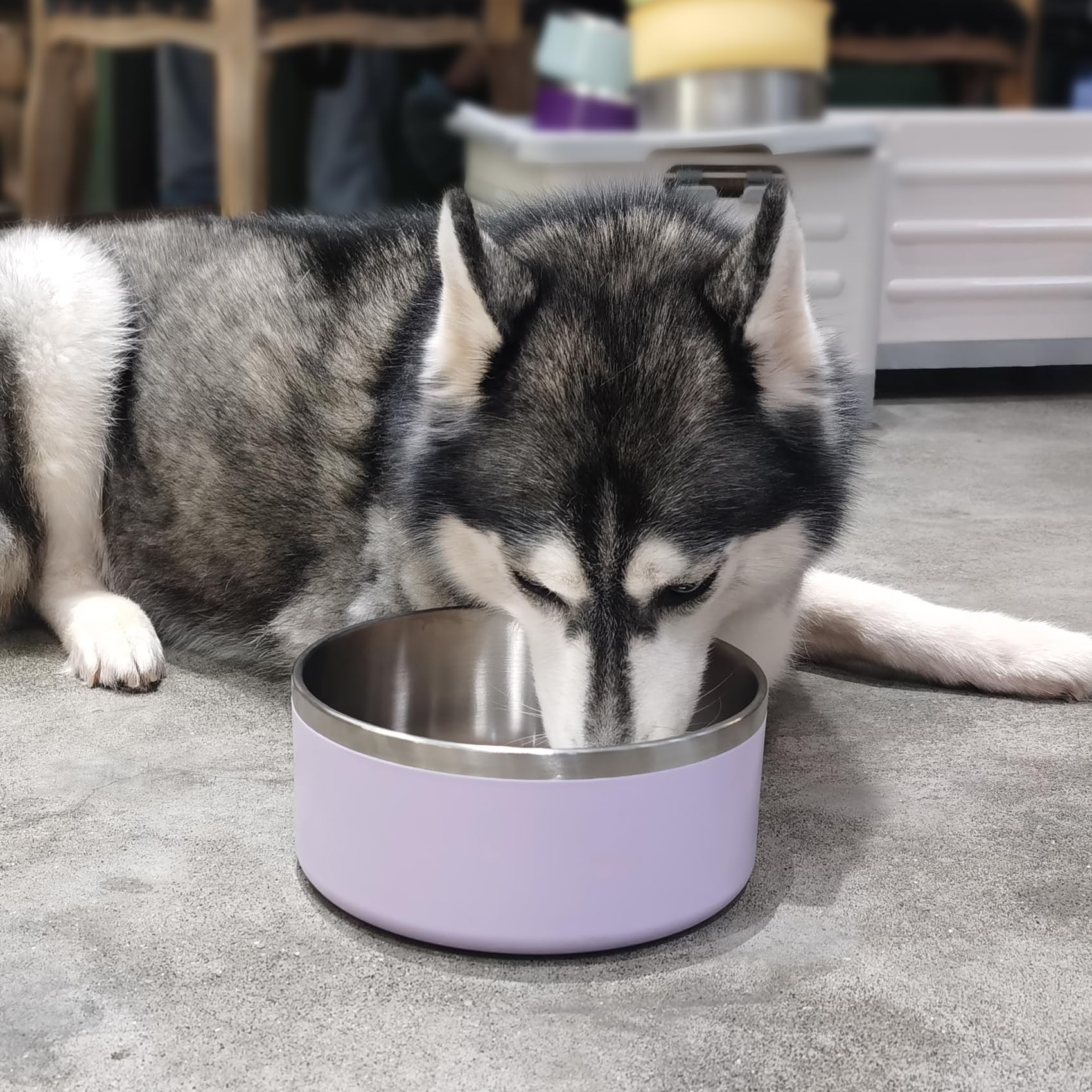 LIHOOOOM easy-clean stainless steel bowl for quick maintenance