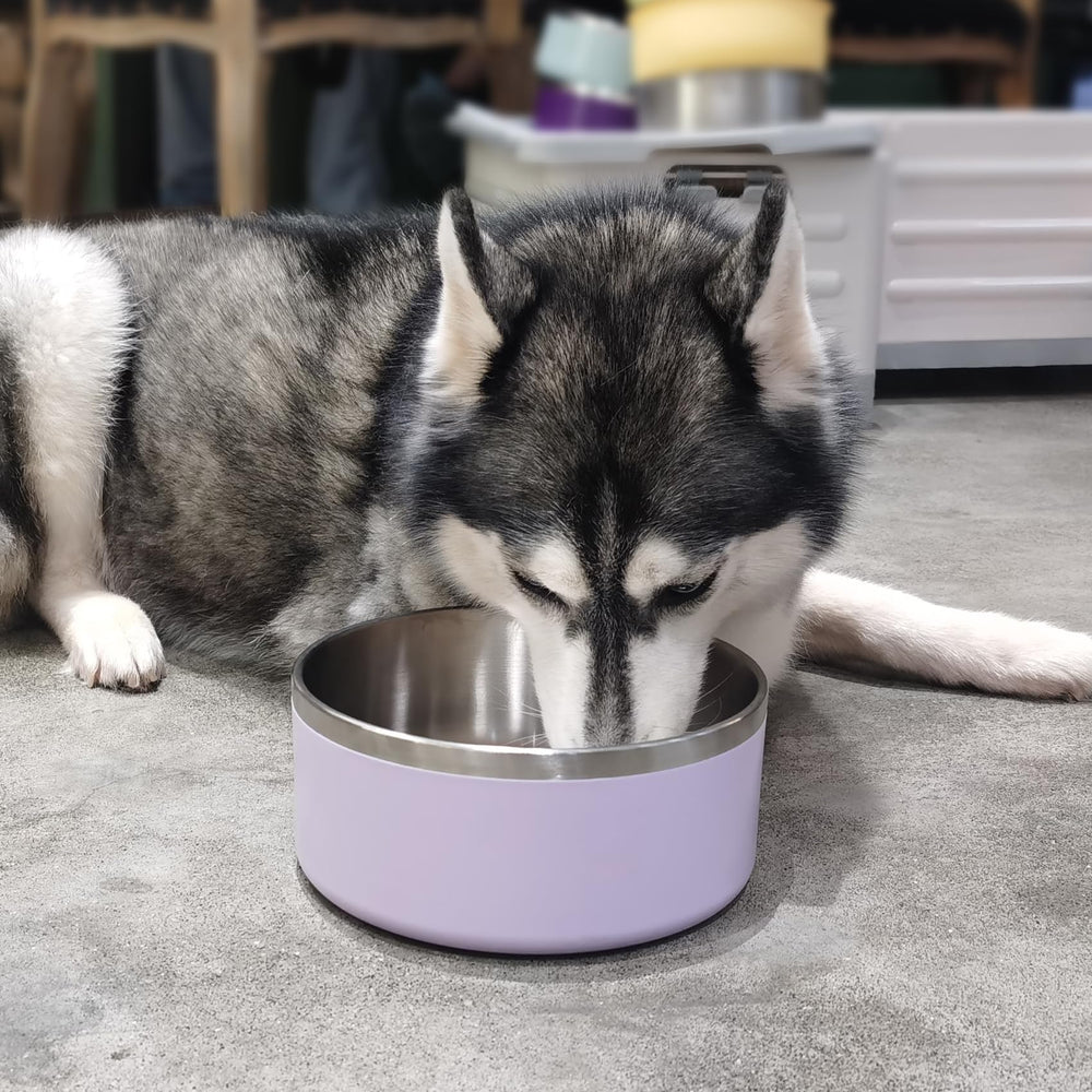 LIHOOOOM easy-clean stainless steel bowl for quick maintenance