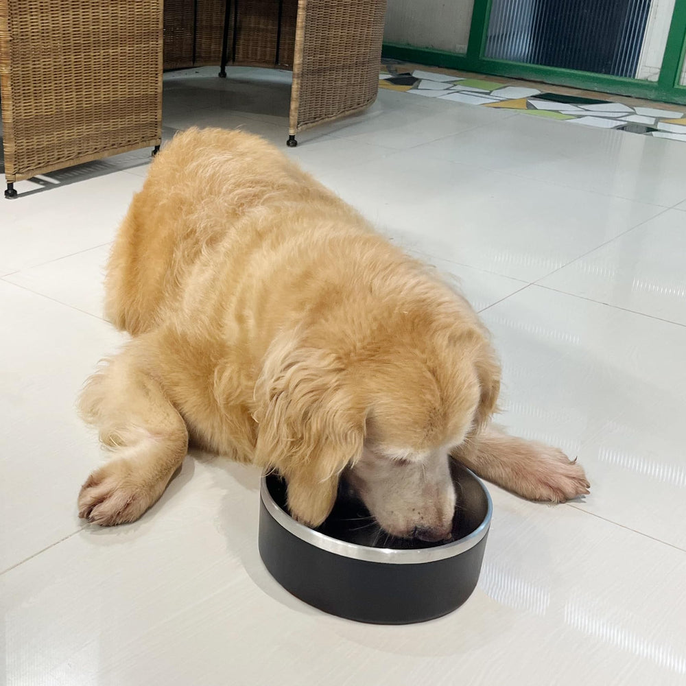 LIHOOOOM easy-clean stainless steel bowl for busy homes.