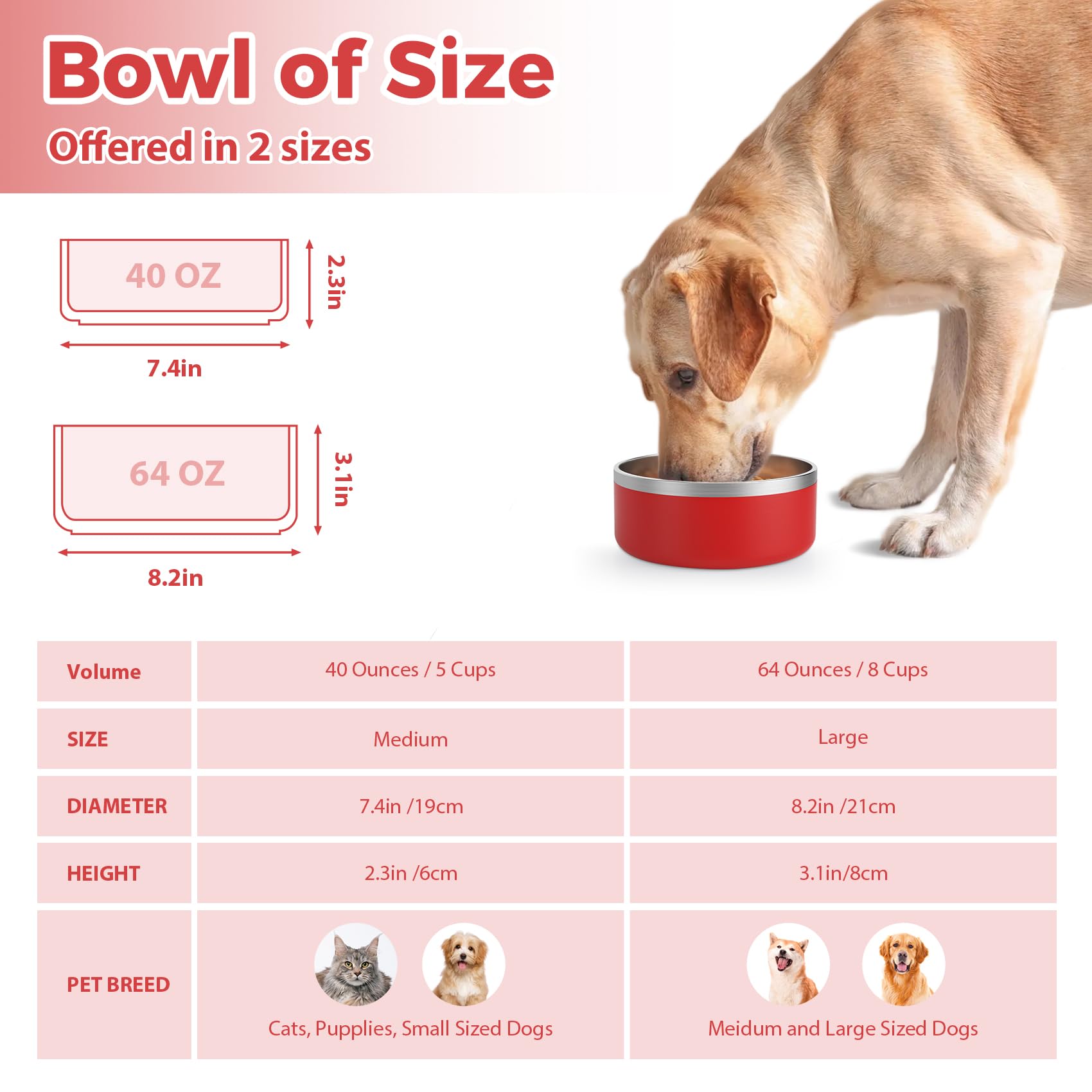 LIHOOOOM insulated dog bowl keeps water cool for longer use