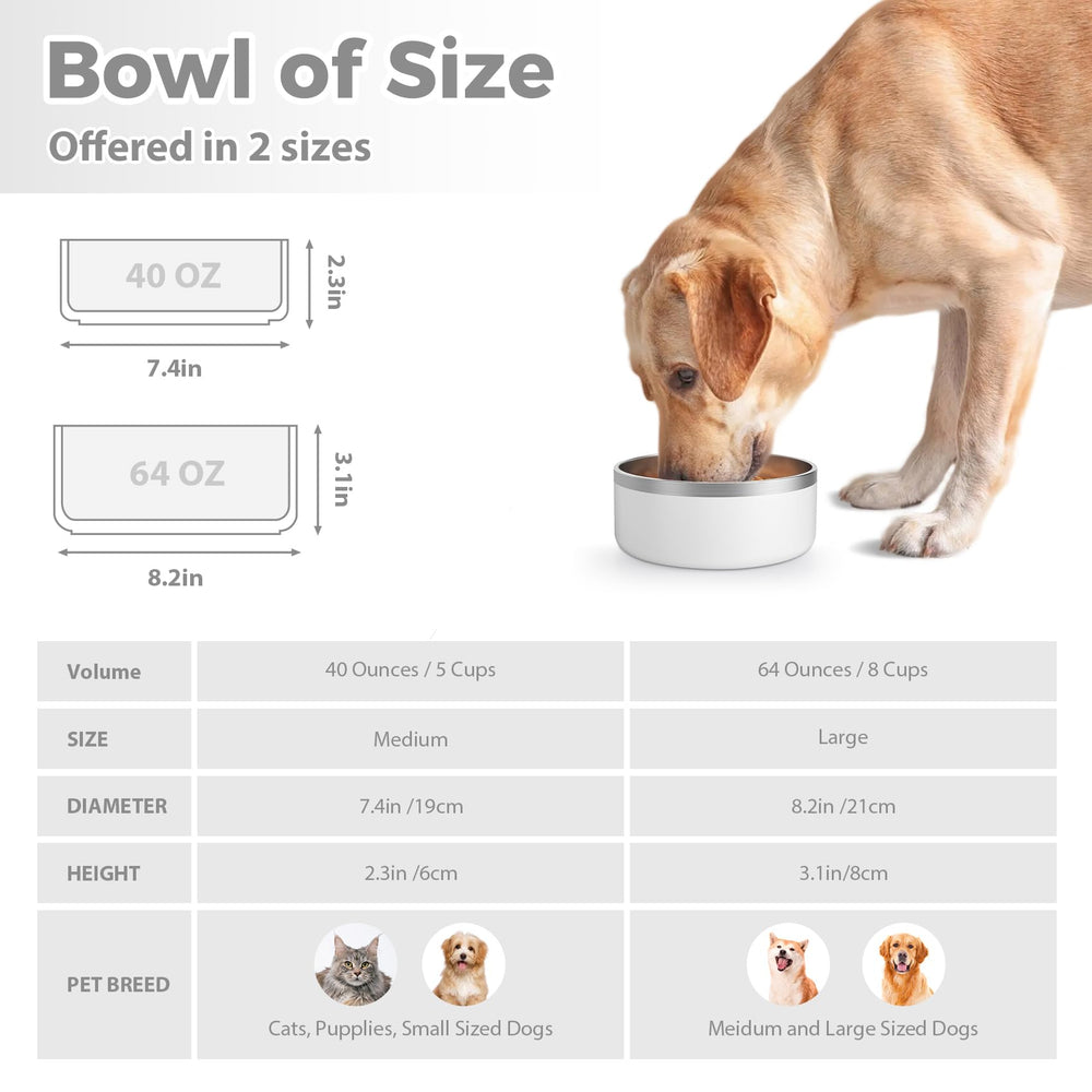 LIHOOOOM insulated non-slip dog bowl keeps water steady during meals