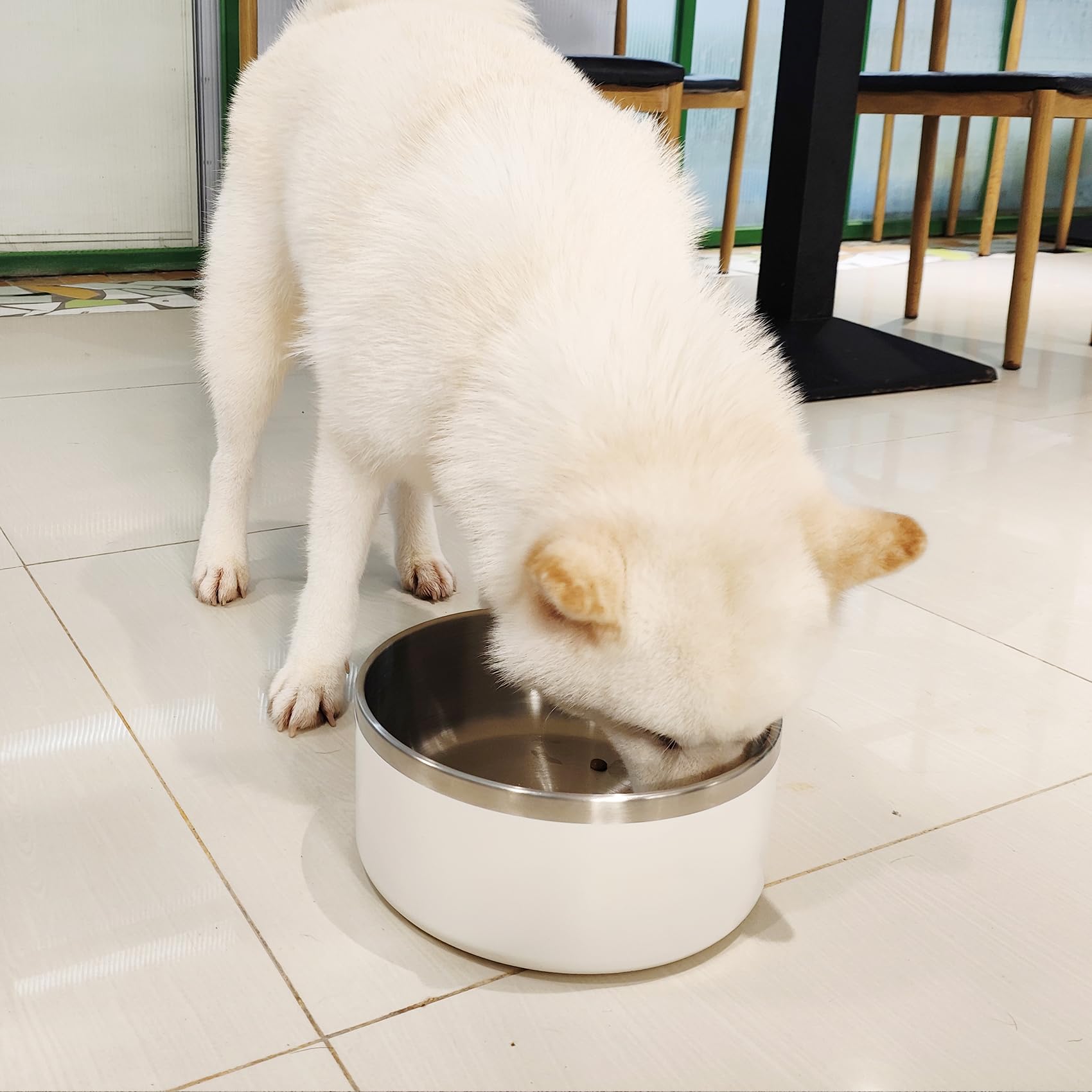 LIHOOOOM white dog bowl adds a modern touch