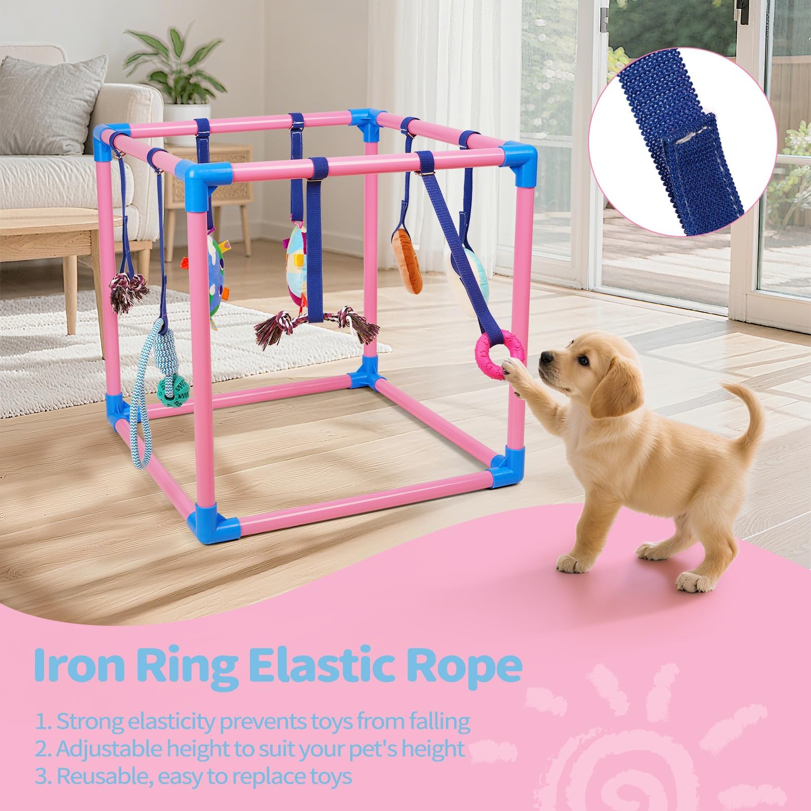 Liitrton Puppy Play Gym bell toy introduces interactive noise for early training sessions.