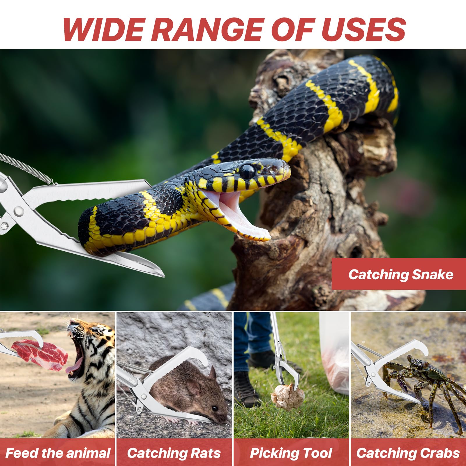 Relocation and safe handling of snakes during yard work