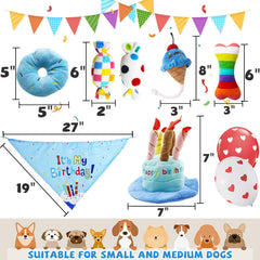 Lilfrd rainbow bone toy promotes active fun during fetch