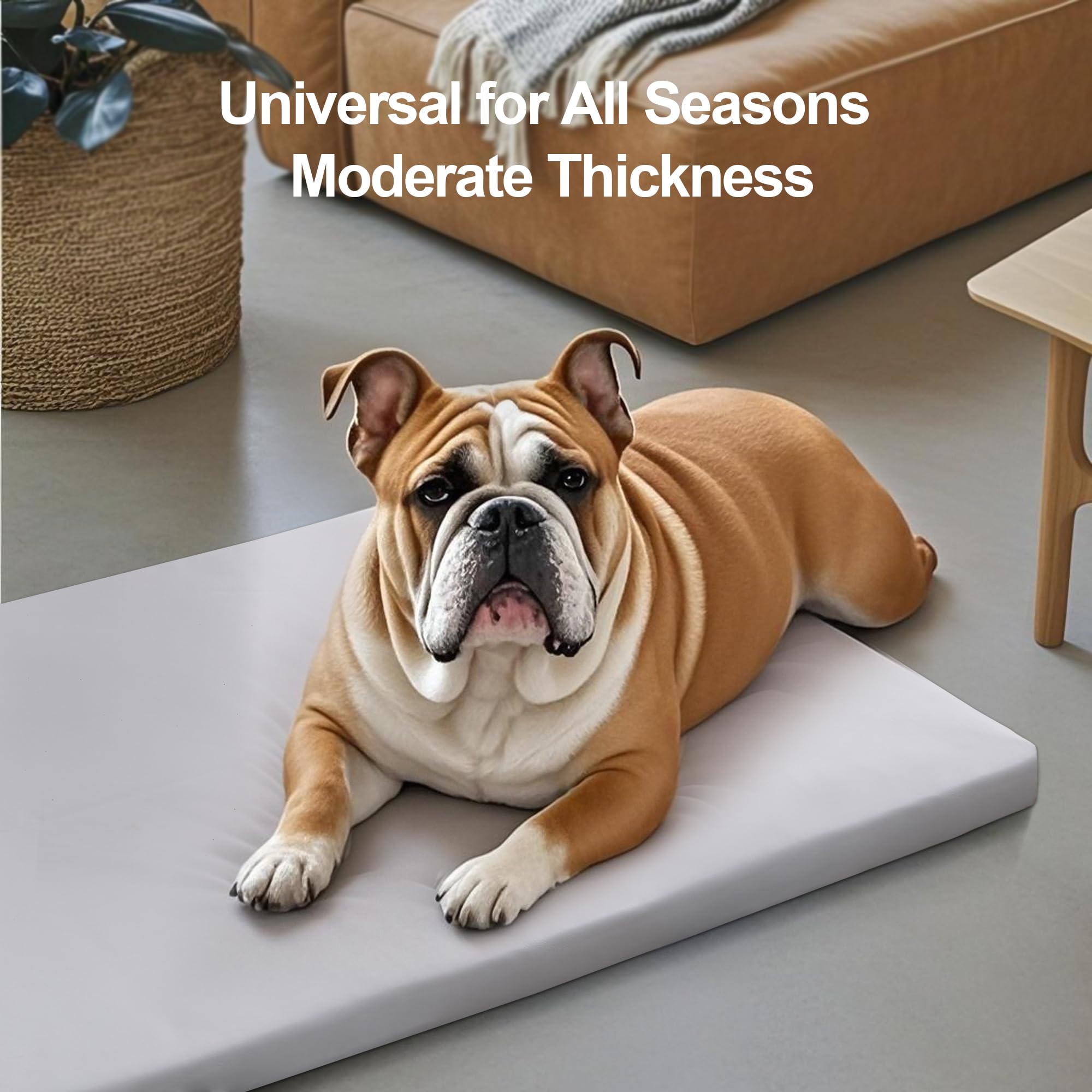 Liliowons dog mat easy wipe clean surface for quick care