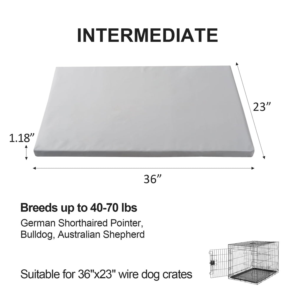 Liliowons dog mat 1.2 inch foam padding provides cushion