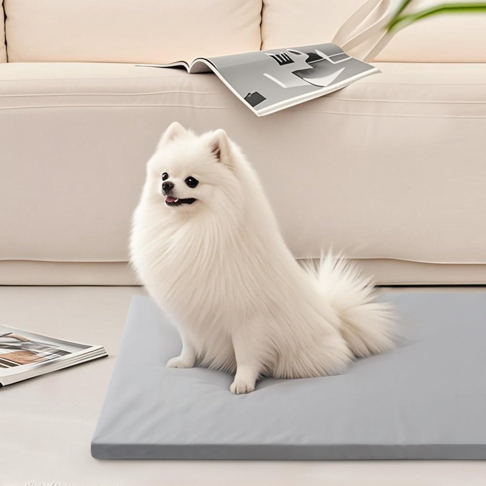 Liliowons dog mat versatile use in crate, car, or floor