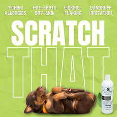 Lillian Ruff HypoCare Plus shampoo lather illustrating gentle cleansing for itchy skin.