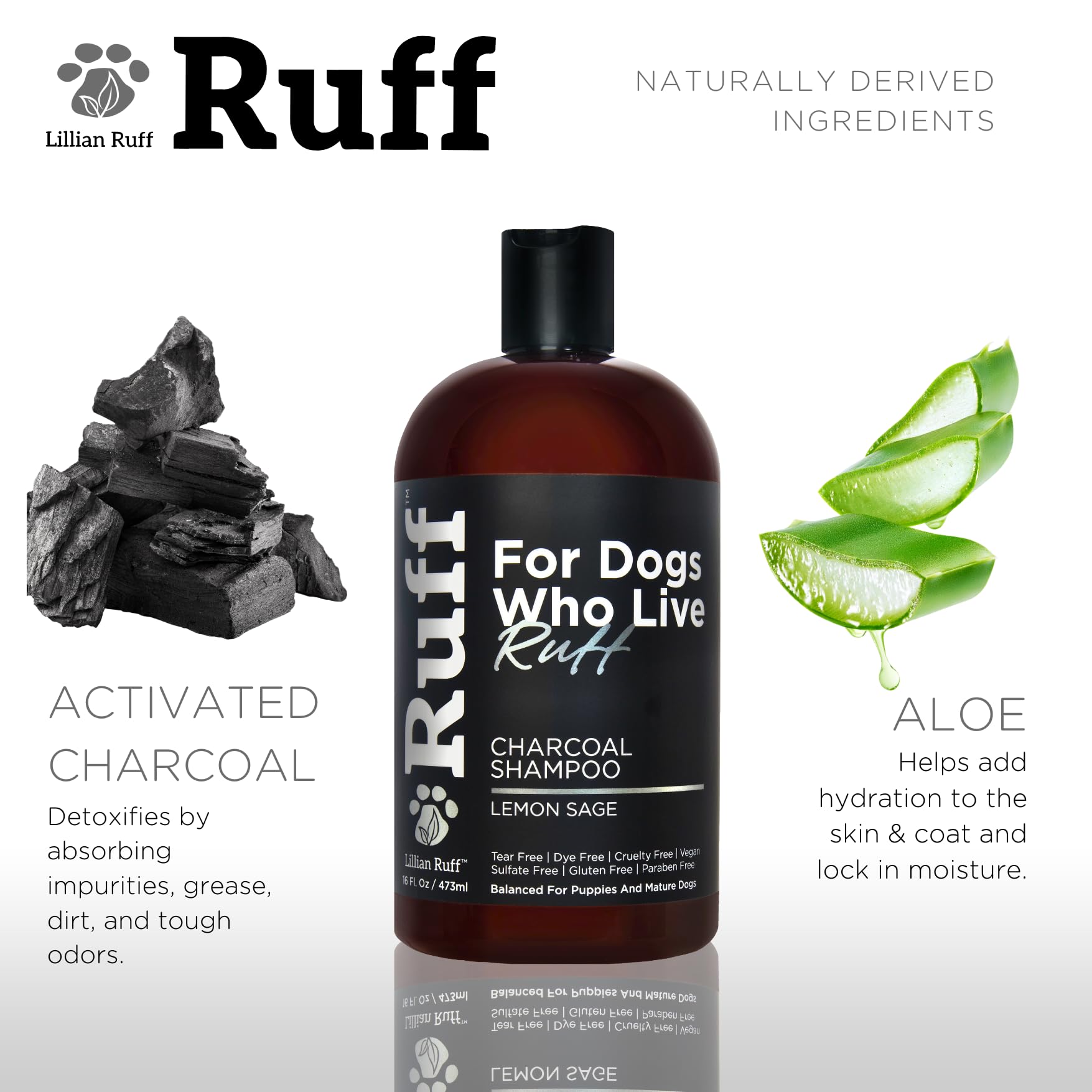 Lillian Ruff odor-control action captures lingering smells for a refreshed dog