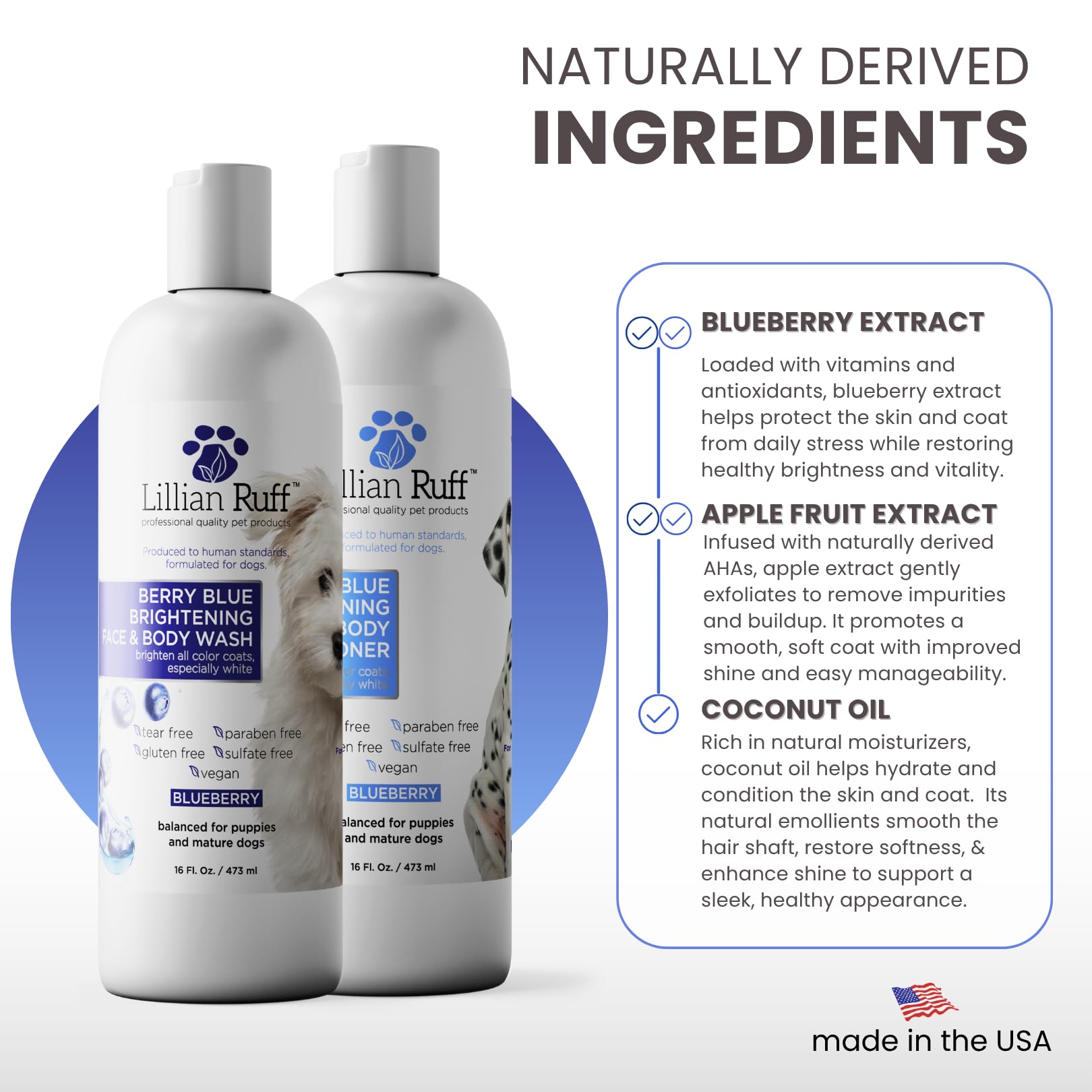 Applying Lillian Ruff Berry Blue Brightening Shampoo to a dog's coat for cleansing and whitening.