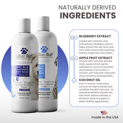 Applying Lillian Ruff Berry Blue Brightening Shampoo to a dog's coat for cleansing and whitening.