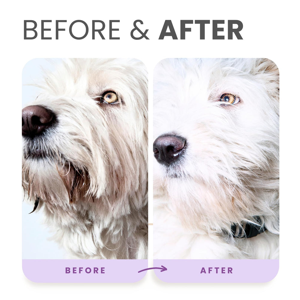 Lillian Ruff PRO calming coconut aroma accompanies a soothing bath for dogs during washing