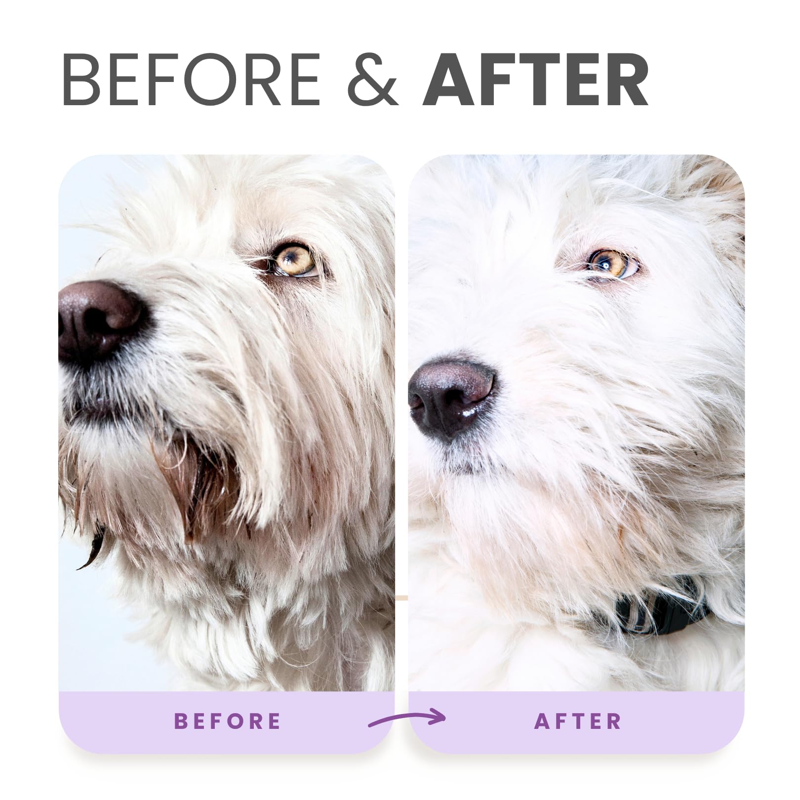 Lillian Ruff PRO Formula bonus brush supports grooming and finish.