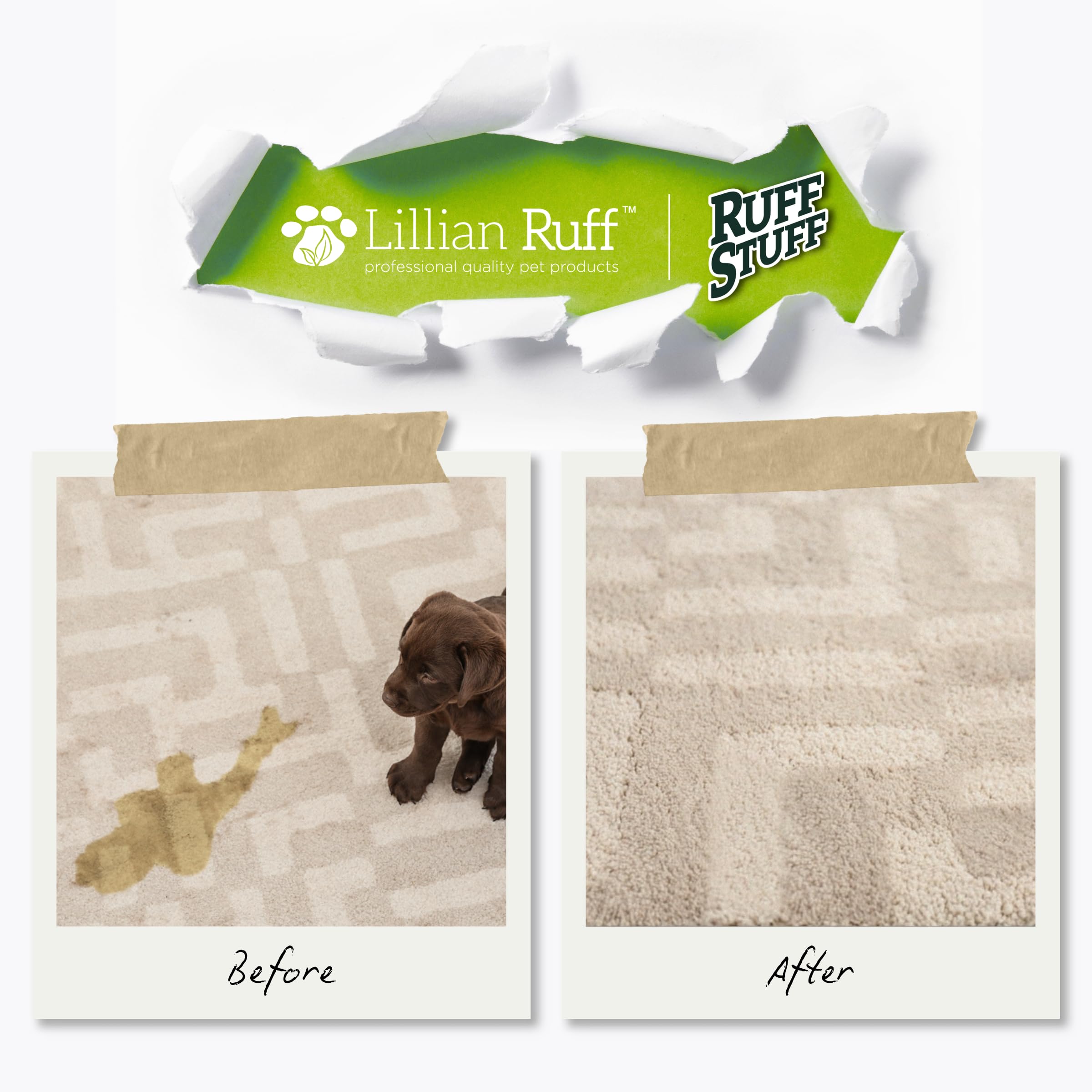 Lillian Ruff RUFF STUFF cleans car interiors with enzymes.