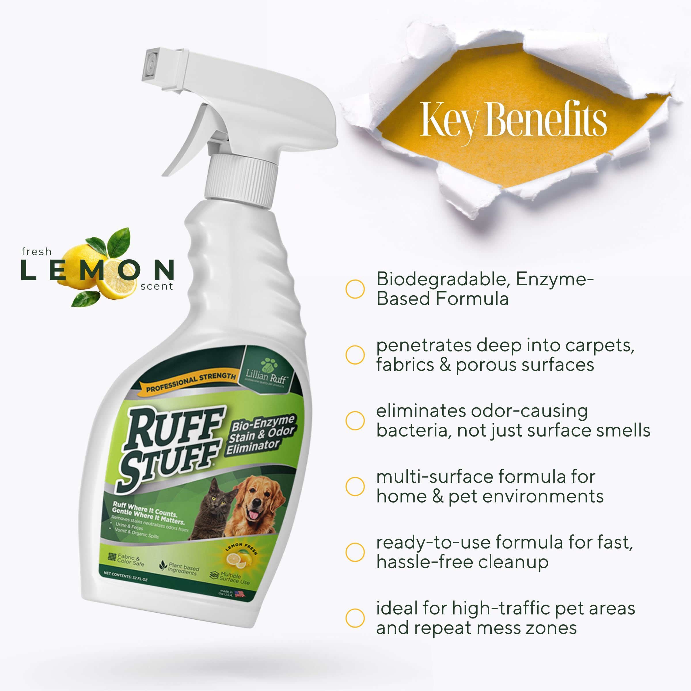 Lillian Ruff RUFF STUFF on couch spot treatment shows deep cleaning.