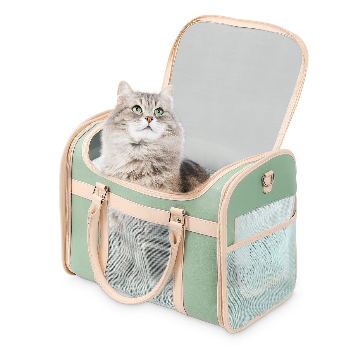Lilliella airline-approved carrier backpack shown for cats and small dogs during travel