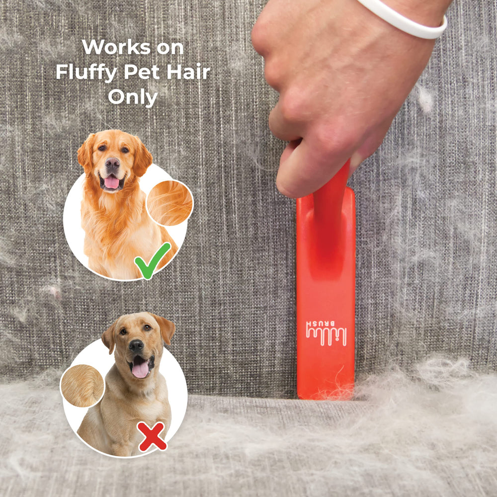 Lilly Brush removes fur and lint from a sofa for a clean living space.