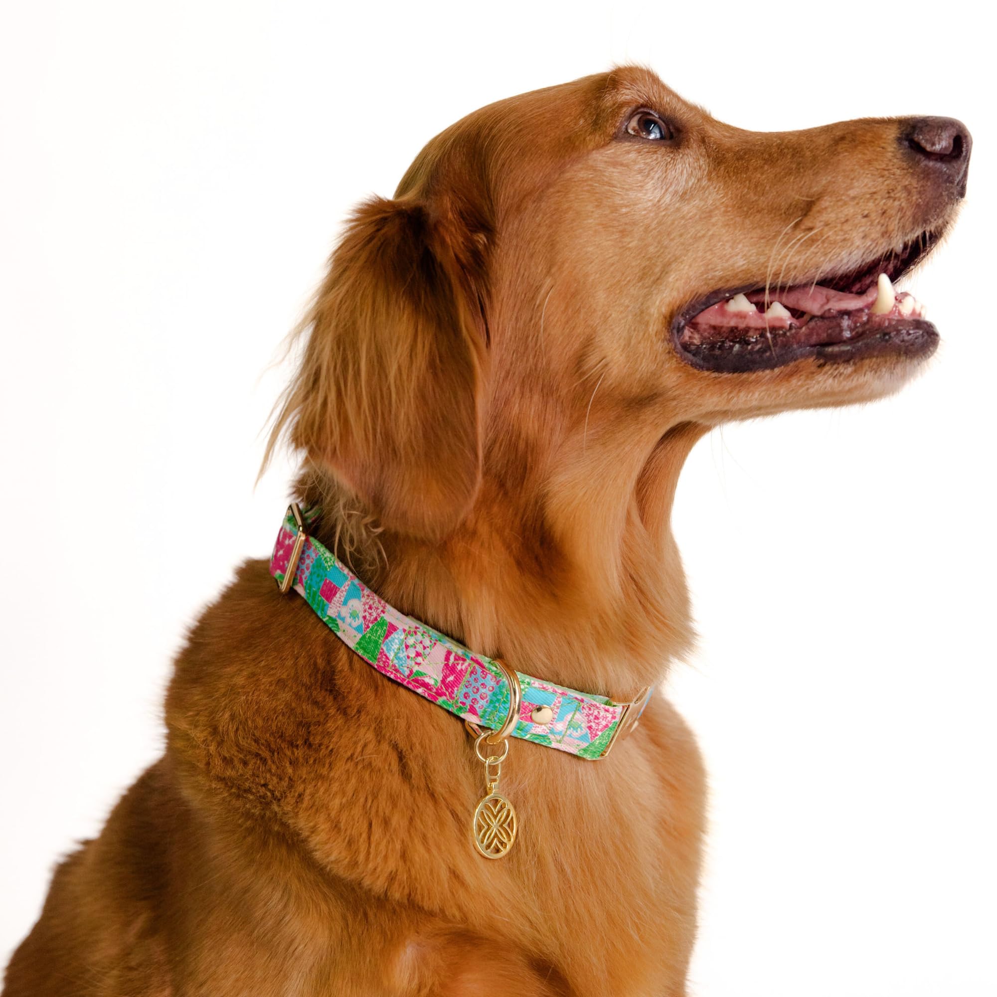 Lilly Pulitzer pet collar ideal for everyday adventures.