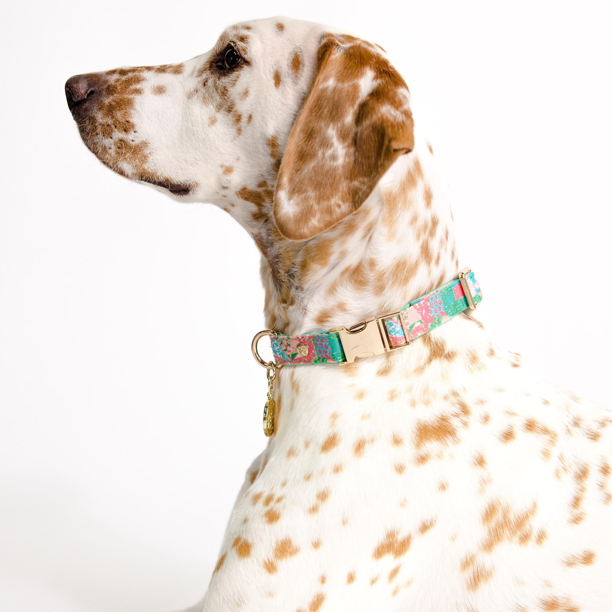 Lightweight design keeps pets comfortable during daily wear.