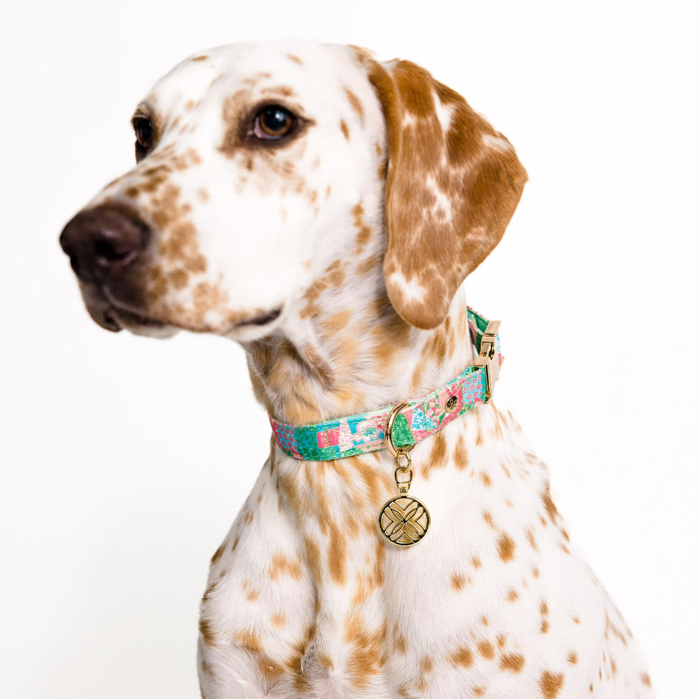 Vivid Crazy Quilt Home print adds playful personality to the Lilly Pulitzer collar.