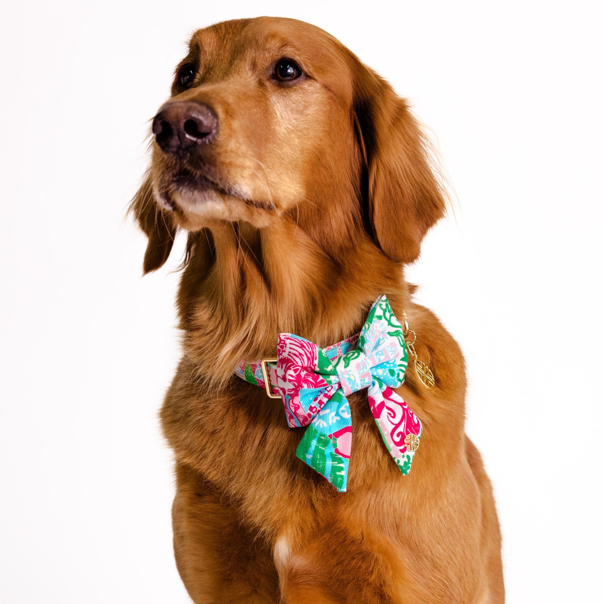 Vibrant pattern resists wear while keeping its shape