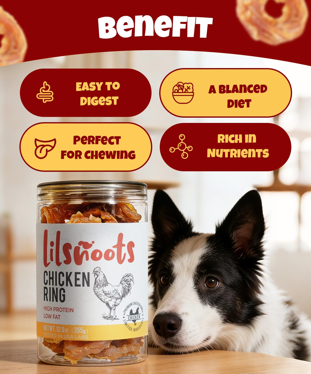 LILSNOOTS dog chewing rings highlight calm chewing and longer engagement.