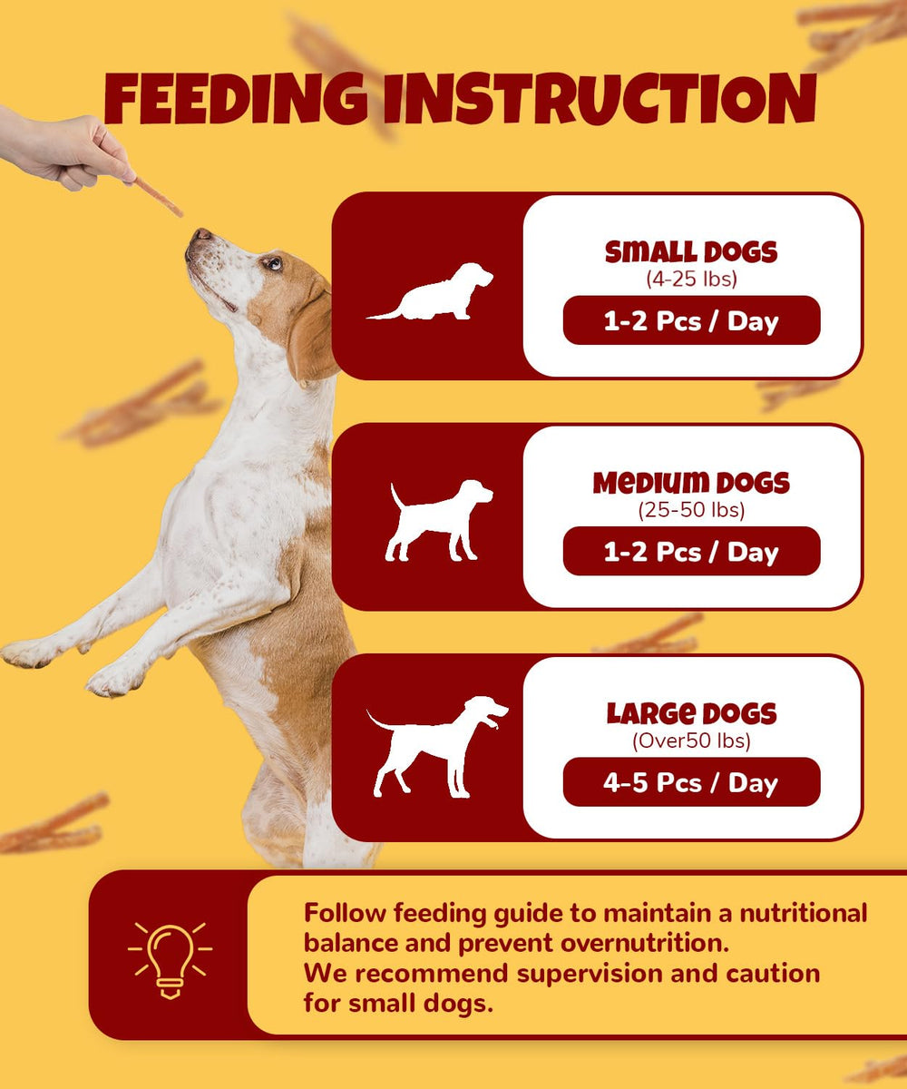 LILSNOOTS rawhide-free dog treat for safe chewing and enjoyment.