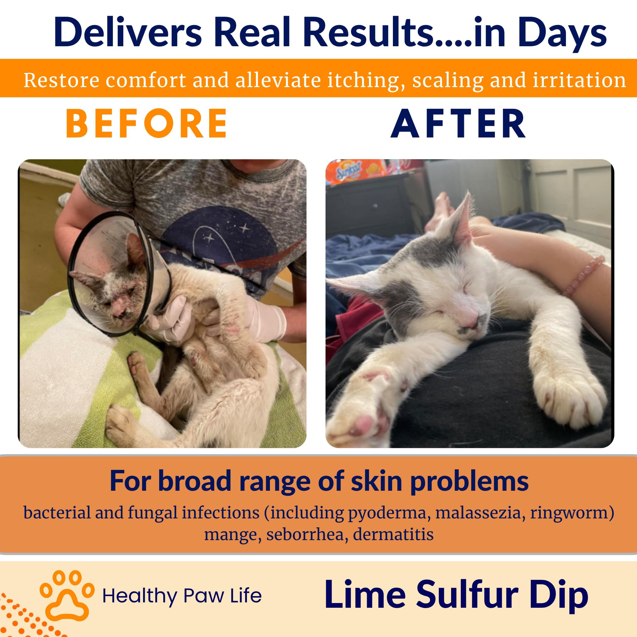 Healthy Paw Life lime sulfur dip applied to cats for skin relief.