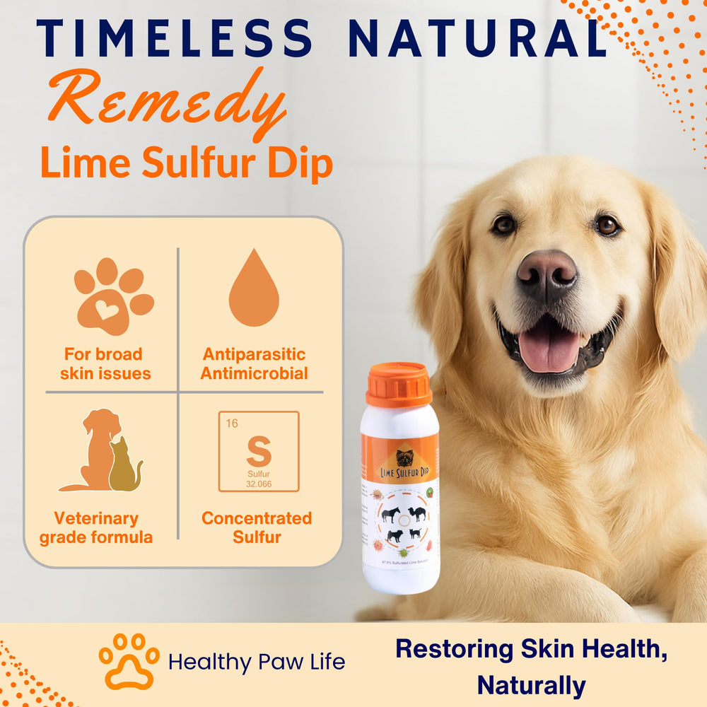 Healthy Paw Life lime sulfur dip applied to dogs for comfort.