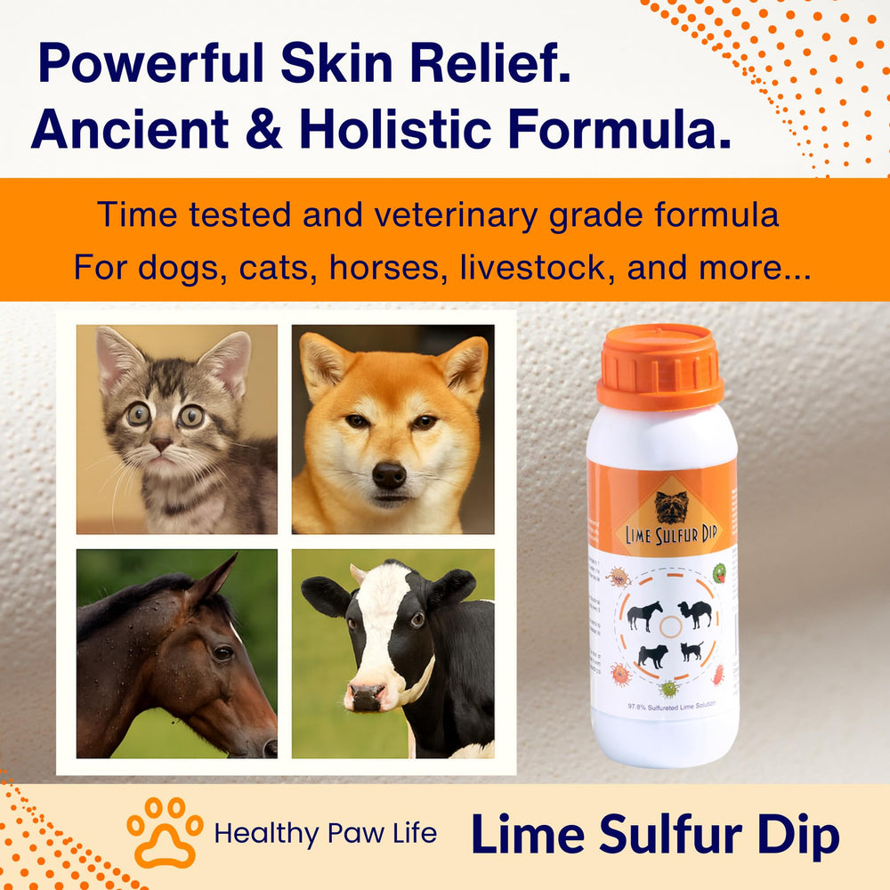 Lime Sulfur Dip skin-care routine visuals show multi-pet suitability