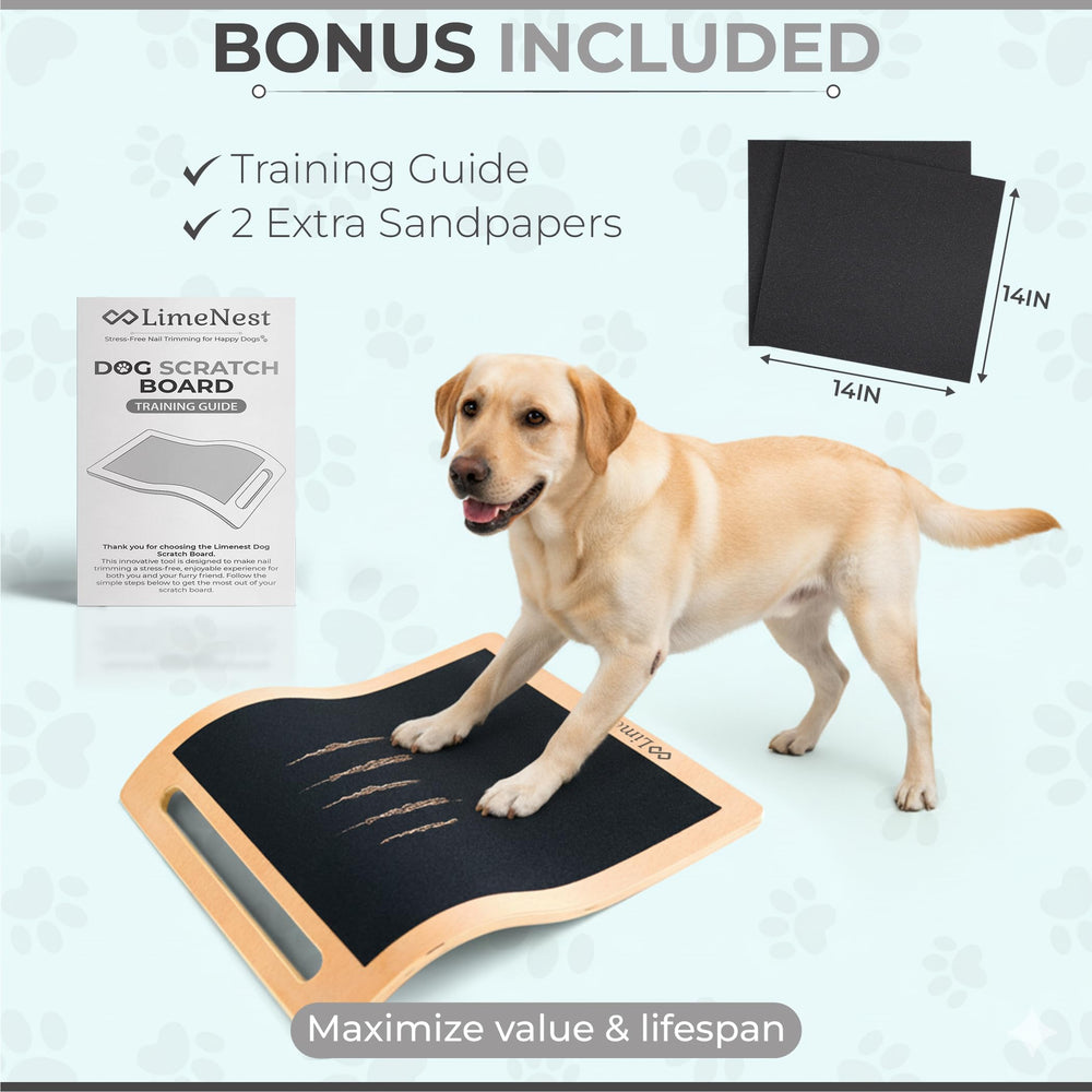 LIMENEST training guide for dog nail scratch board