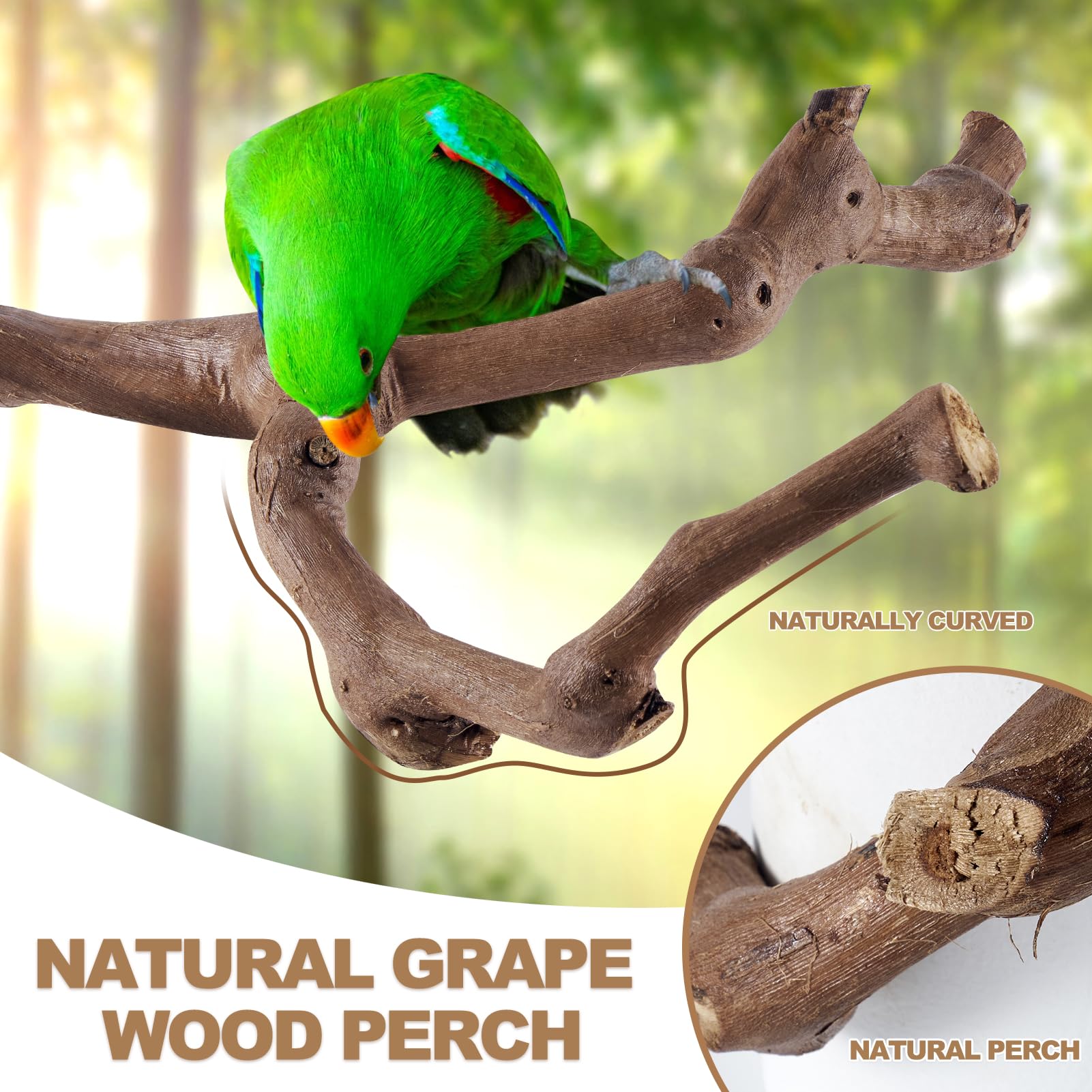 LIMIO Bird Perch Set parakeet perch provides safe footing for active birds.