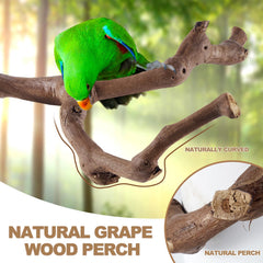 LIMIO Bird Perch Set parakeet perch provides safe footing for active birds.